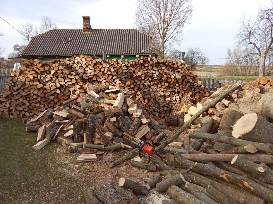 Дрова різних порід(дуб,граб,ясен,вільха,береза,сосна)Недорого!