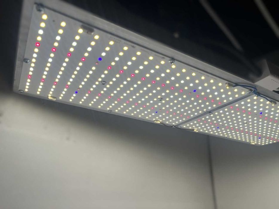 Quantum board 240W Samsung lm281b+, квантум борд, гроубокс