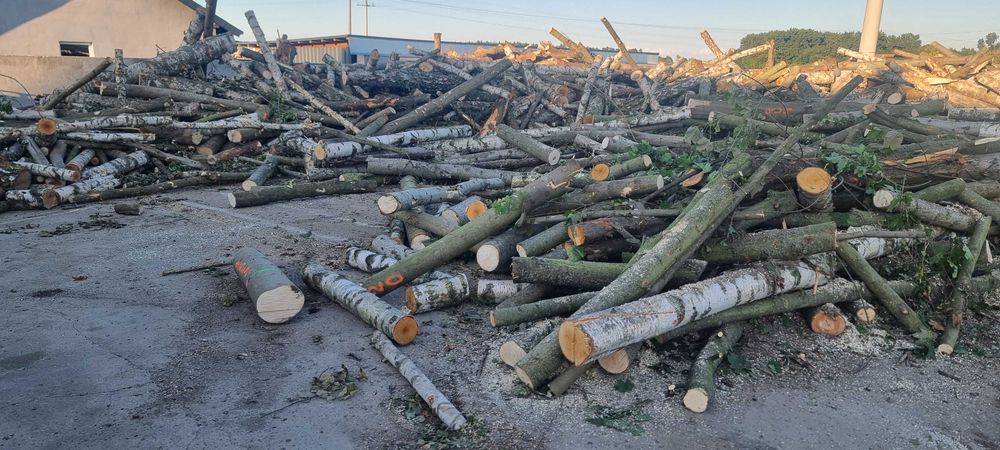 Witam oferuje uslugi