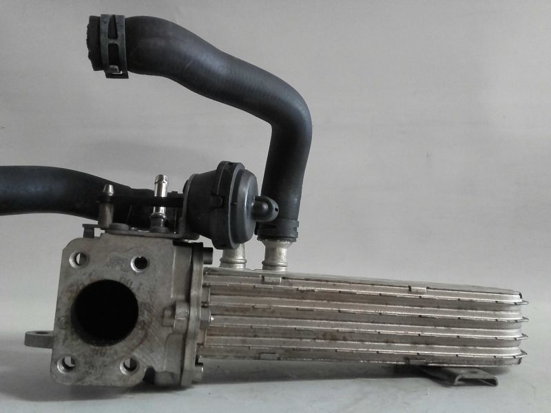 Radiador de gases / EGR VOLKSWAGEN Passat (3C2)