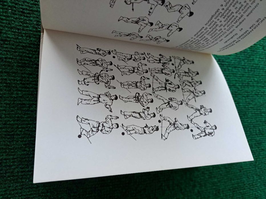 O Karate (Técnica Wado-Ryu)