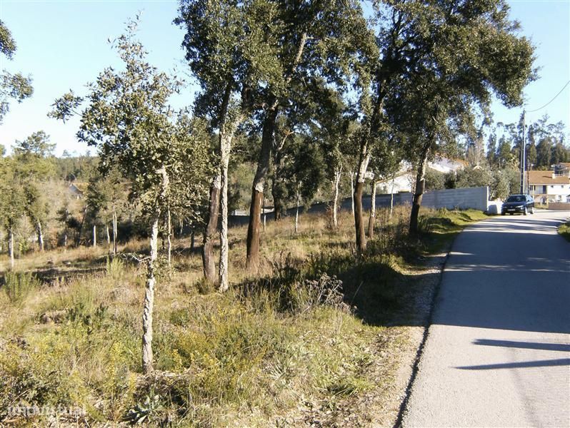 Terreno para construção, ourém - olival