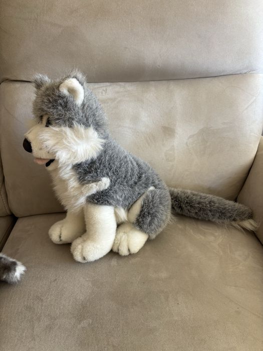 Maskotka piesek husky wys 38 cm