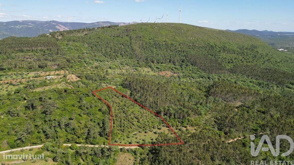 Terreno Agrícola em Alvorge