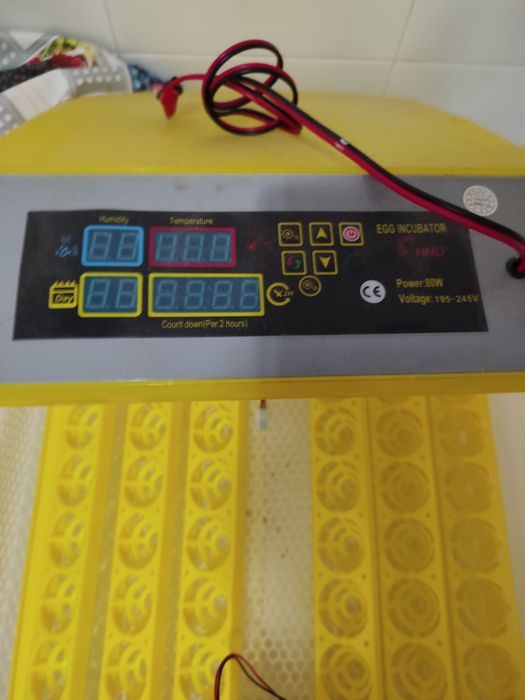 Chocadeira de 48 ovos automática