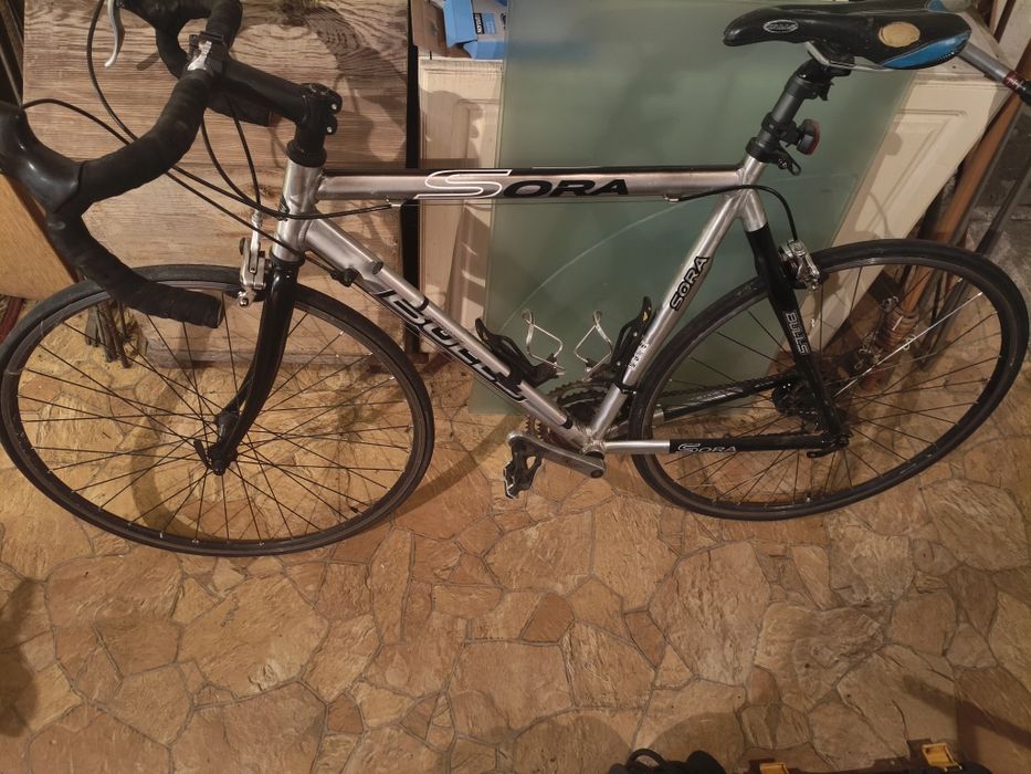 Bulls Sora szosowy,kolarka