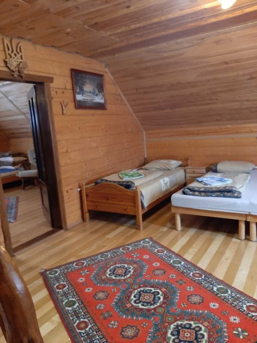 Еко-садиба  "У Дани" біля термальних басейнів