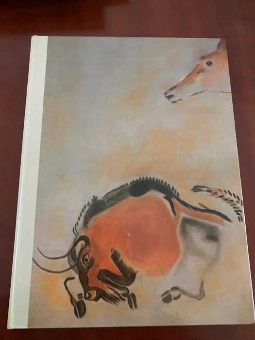 Grandes enigmas do homem