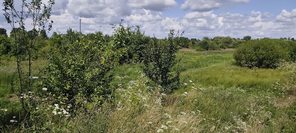 Земельна ділянка 1.4 га біля річки  у Негівцях