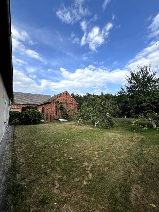 Dom Orzeszków + budynki gospodarcze - pod samym lasem