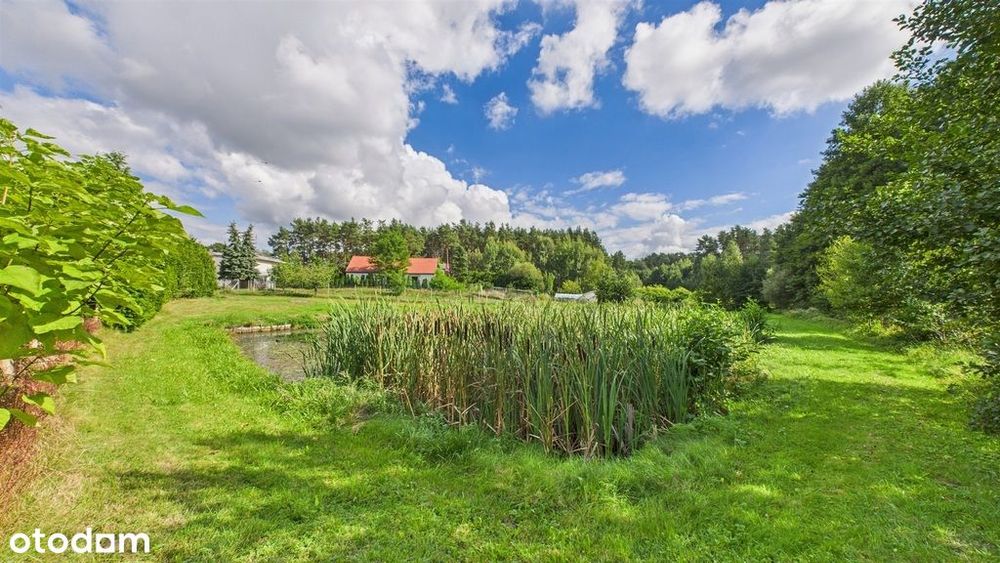 Wyjątkowa nieruchomość inwestycyjna nad zalewem w