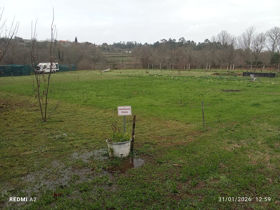 Terreno pomar 3100m2