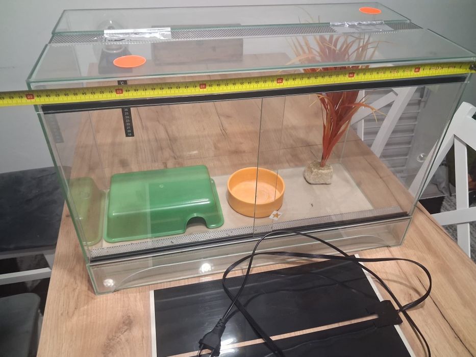 Terarium dla gadów