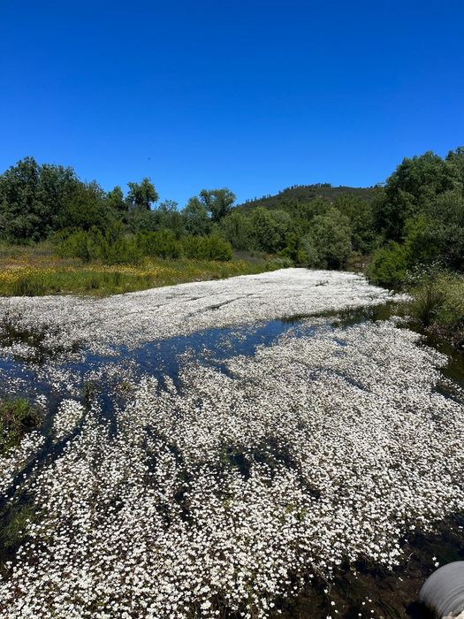 Quinta ao lado do rio para venda