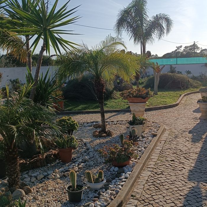 Serviços Jardinagem&Paisagismo