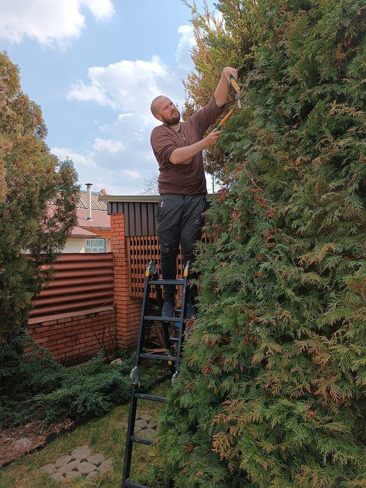 Уборка участка под ключ, покос травы, спил деревьев, корчевка пней.