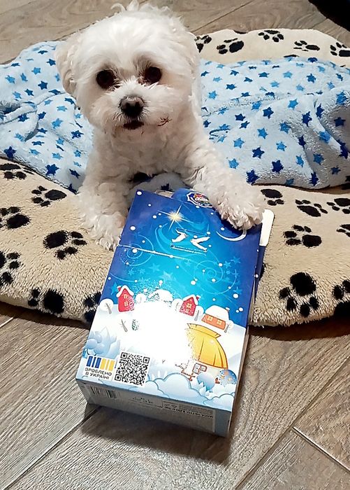 В'язка мальтезе ,мальтійська колонка