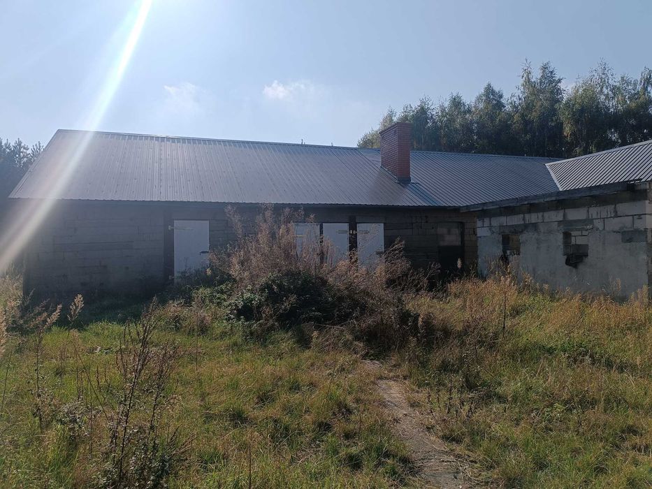 Dom na wynajem