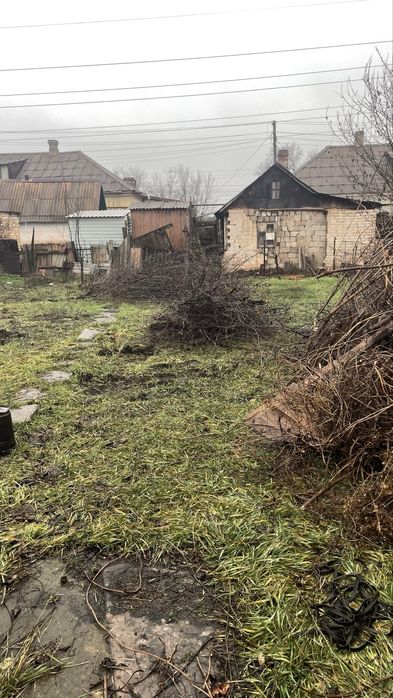 Гілки дерев, ветки деревьев самовивіз