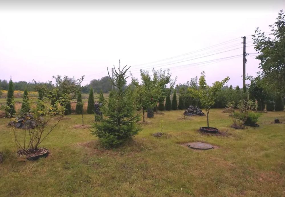 Продаж чудового будинку в затишній локації!