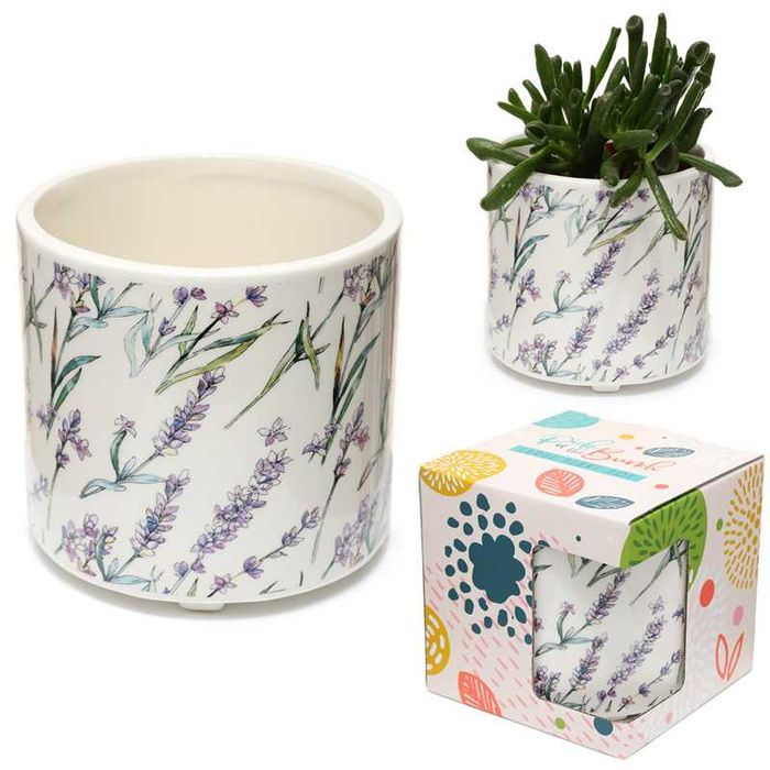 Vaso de cerâmica para Plantas de interior