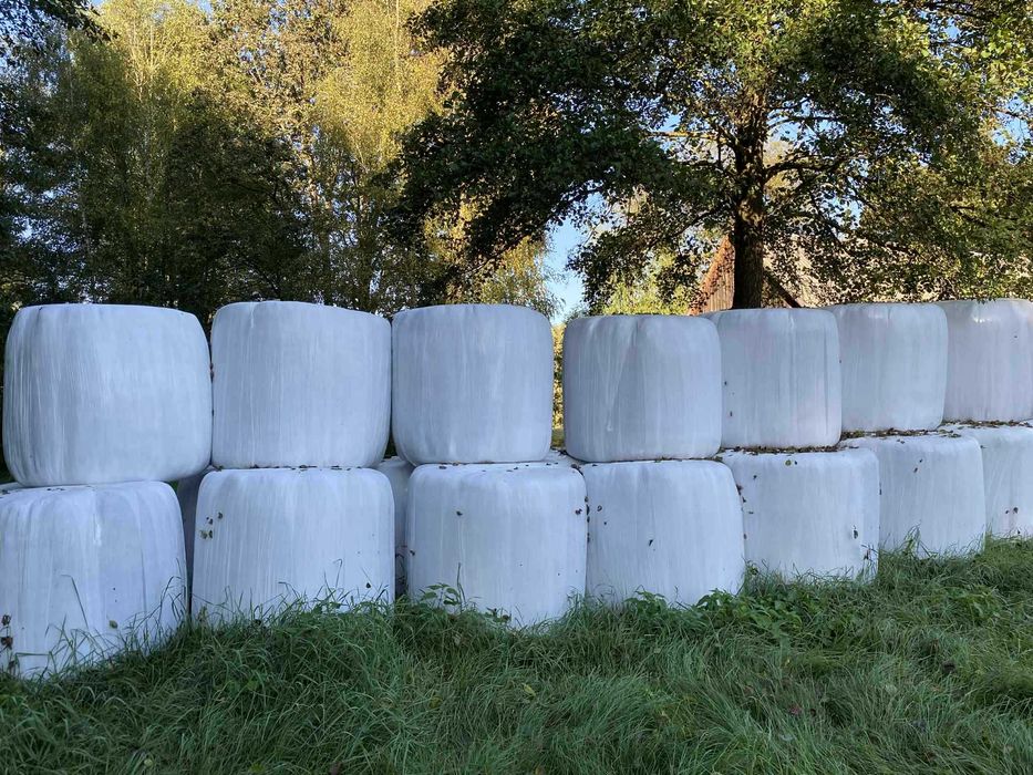 Baloty siana - 30 sztuk