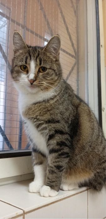 Пристраиваем в добрые руки.