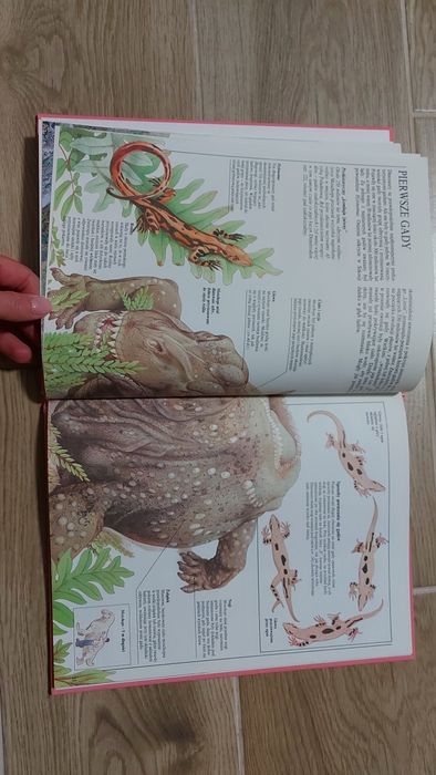 Świat wczoraj I dziś. Życie prehistoryczne