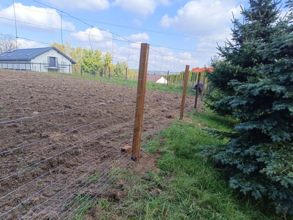 Ogrodzenia tymczasowe siatka leśna słupek betonowy drewniany