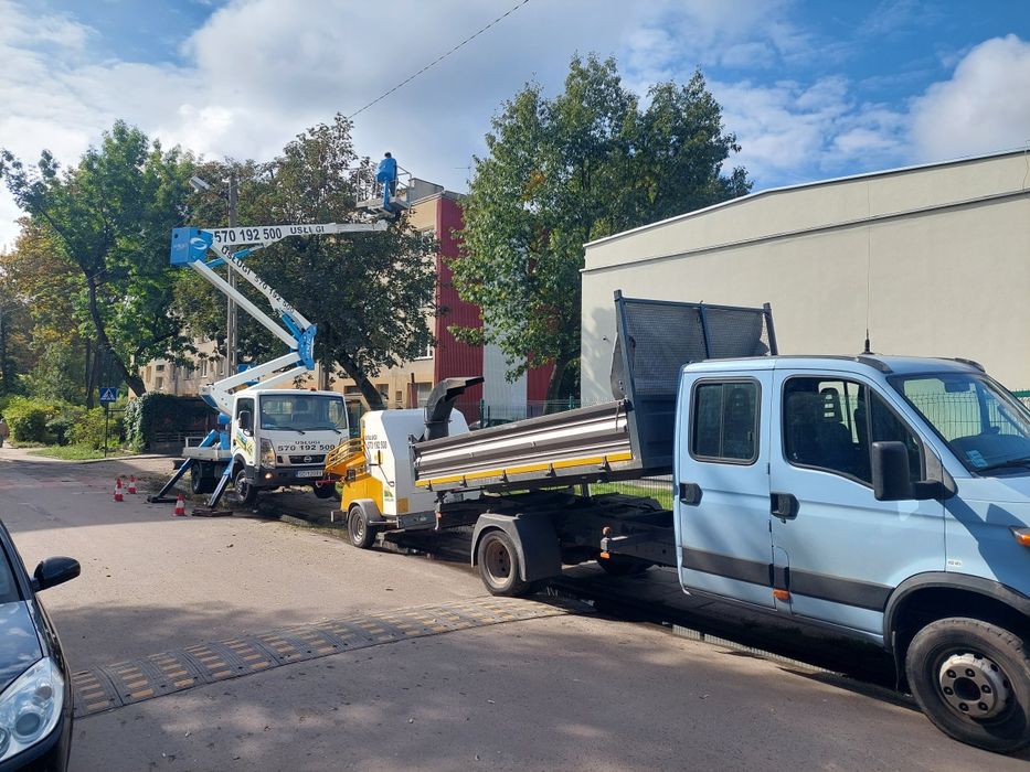 Przycinanie drzew wycinka usługi rębak frezowanie korzeni
