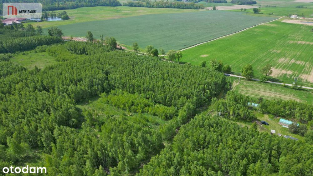 Działka Borcz 3069 m2 Mpzp