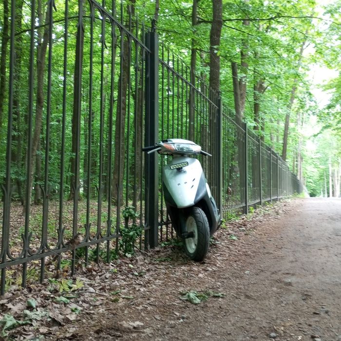 Хонда діо 35 ZX +торг