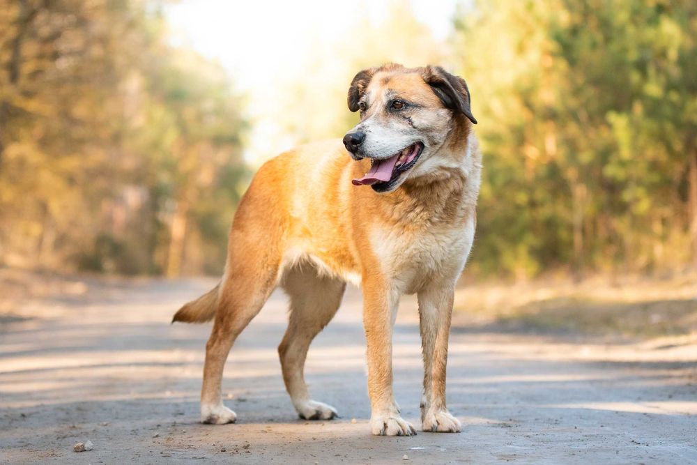 energiczna i mądra MELINDA