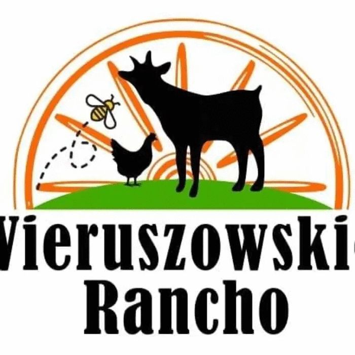 Kozie Mleko stado kolczykowanie