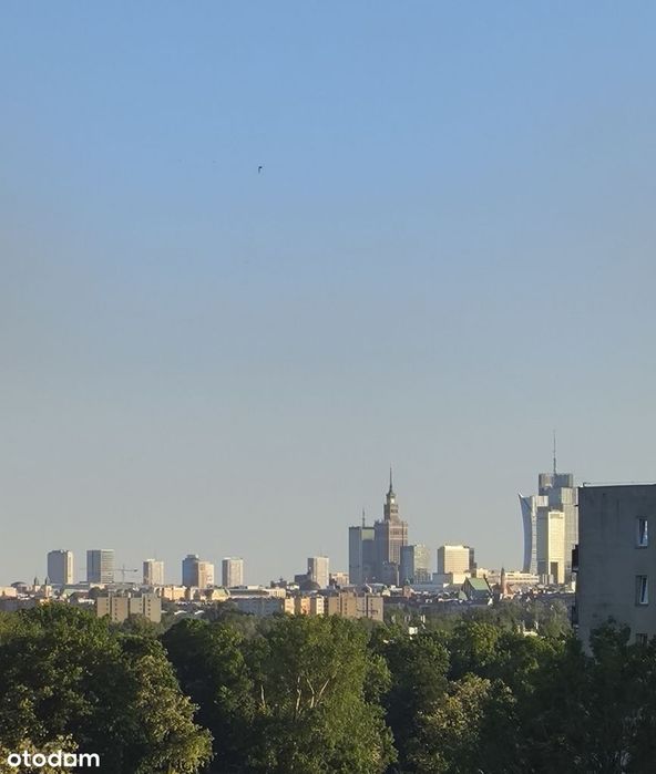 Zdjęcie 8