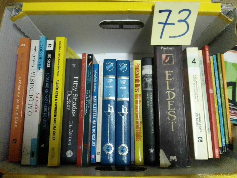 LOTE 72 + 73 - LIVROS Diversos - Vendidos EM SEPARADO - Preços Vários