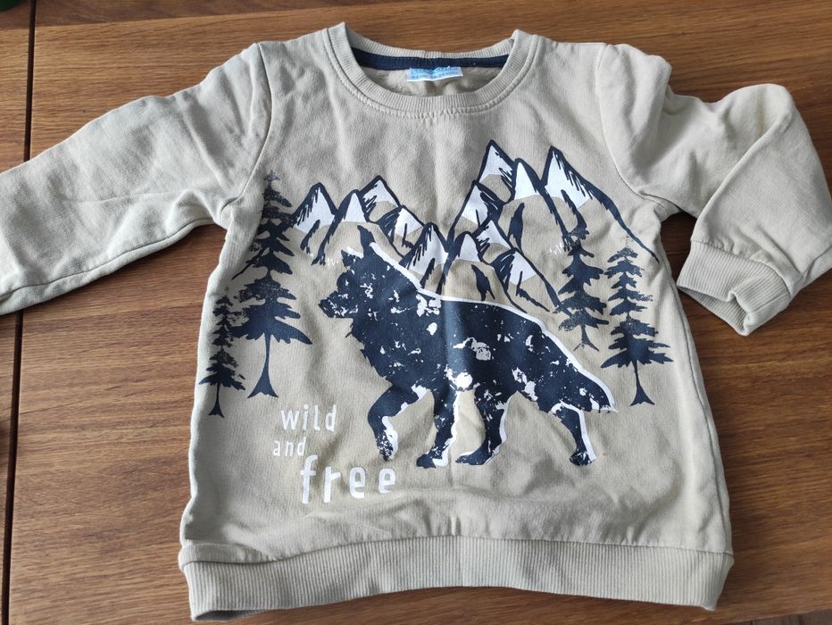 Sweterki 86r. Dino i Wild, natura