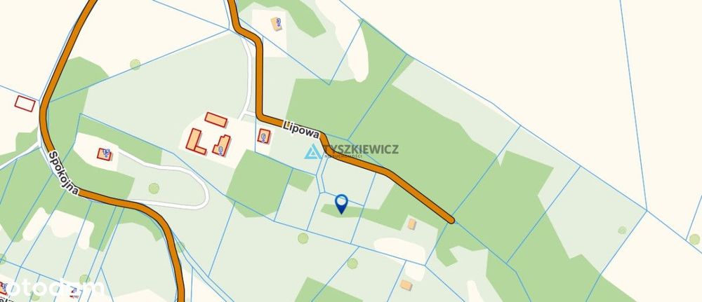 Działka w otulinie lasów!