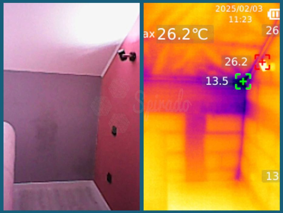 Usuwanie pleśni i grzyba - Odgrzybianie ścian - Pomiary wilgotności