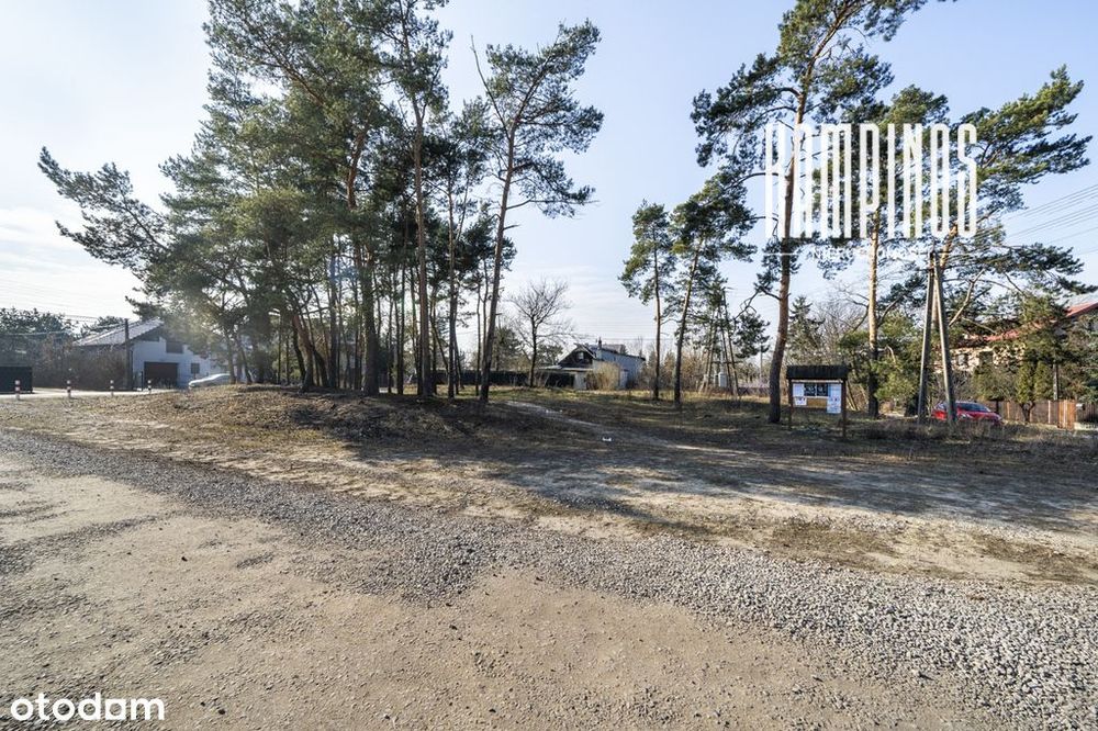 Zdjęcie 2