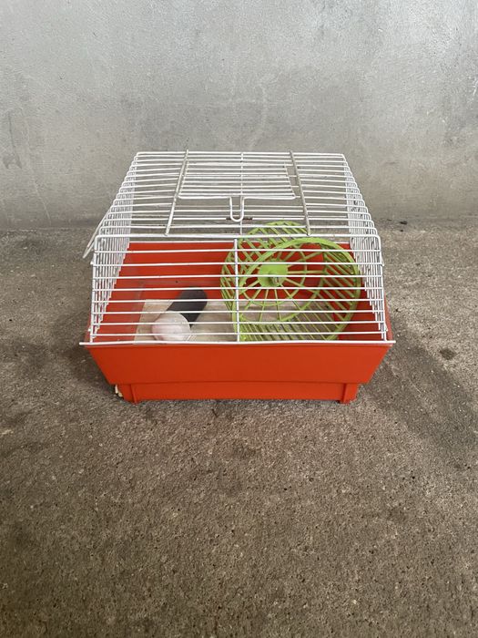 Gaiola para hamster