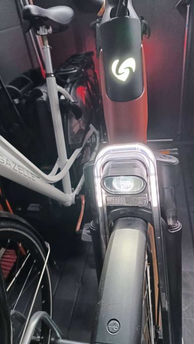 Rower elektryczny Sparta drule energy na pasku r.61