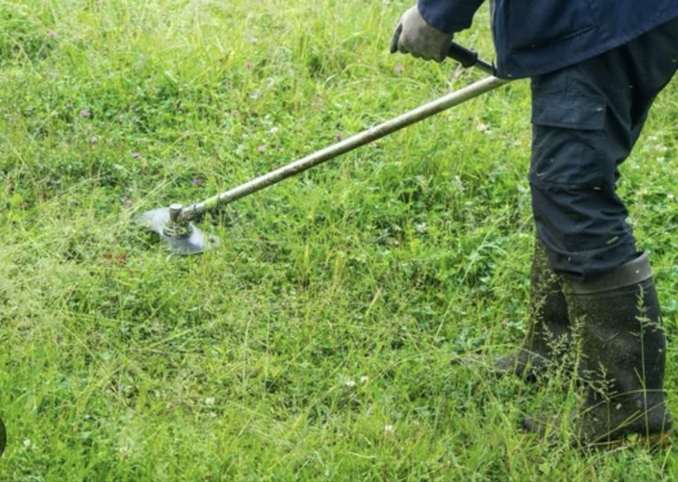 Jardinagem limpeza de quintais poda e corte de arvores