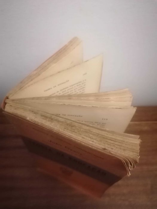 Livro “Teoria da Educação” de João Cesca