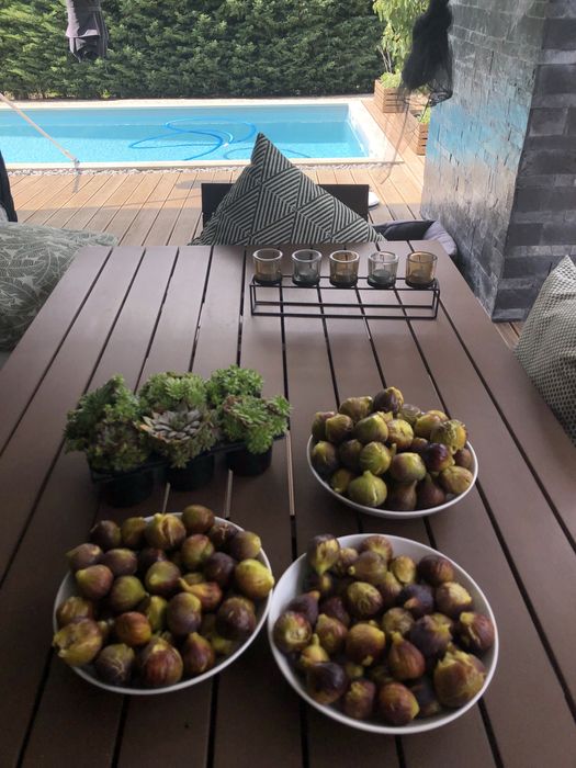 Mesa jardim e cadeiras