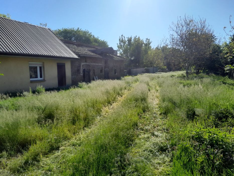 Zdjęcie 4