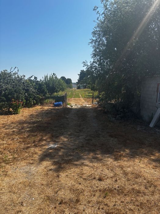 Terreno com 2 casas Habitacionais