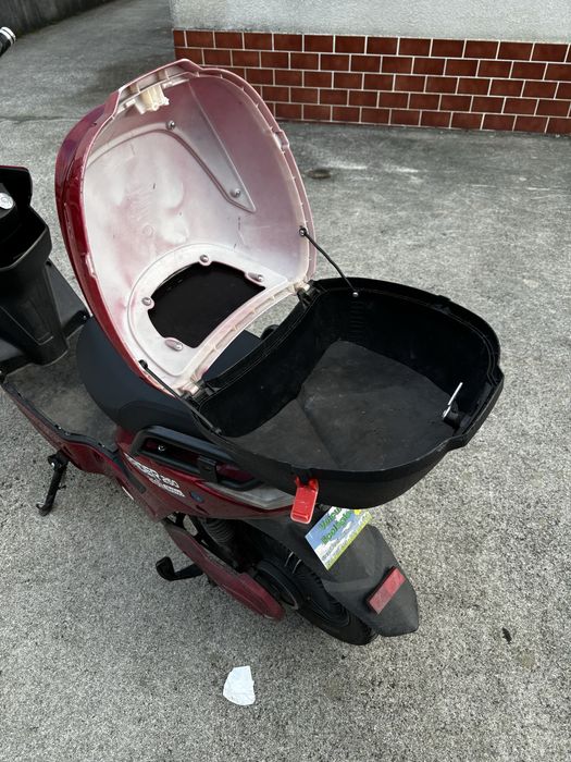 Mota eletrica raider 250 (red)