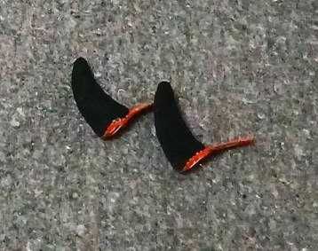 Обідки на волосся   Вушка Ріжки Антенки