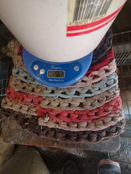 Продаж інкубаційного яйця породи Техас важкої  лінії